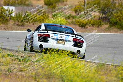media/May-11-2024-Speed Ventures (Sat) [[6540dbf9cc]]/Green Group/Session 2-Bowl Entrance/